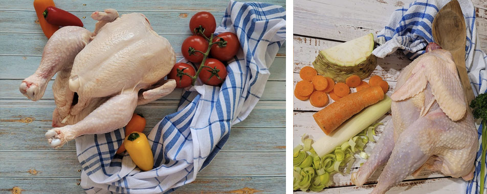 Home-Huehner-Haehnchen-nackt